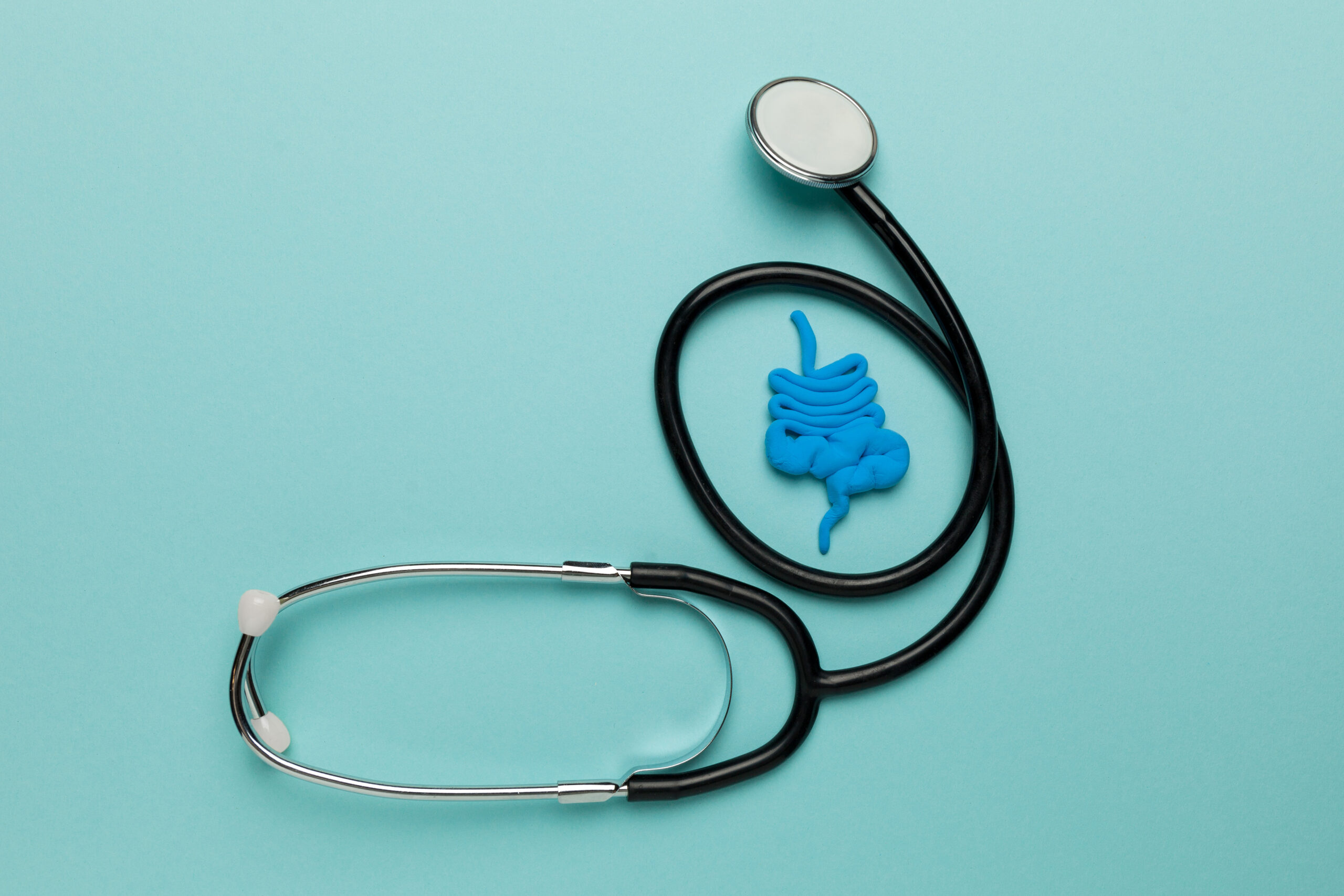 Human intestines, constipation and digestive problems. Treatment with probiotics, bowel irritation.